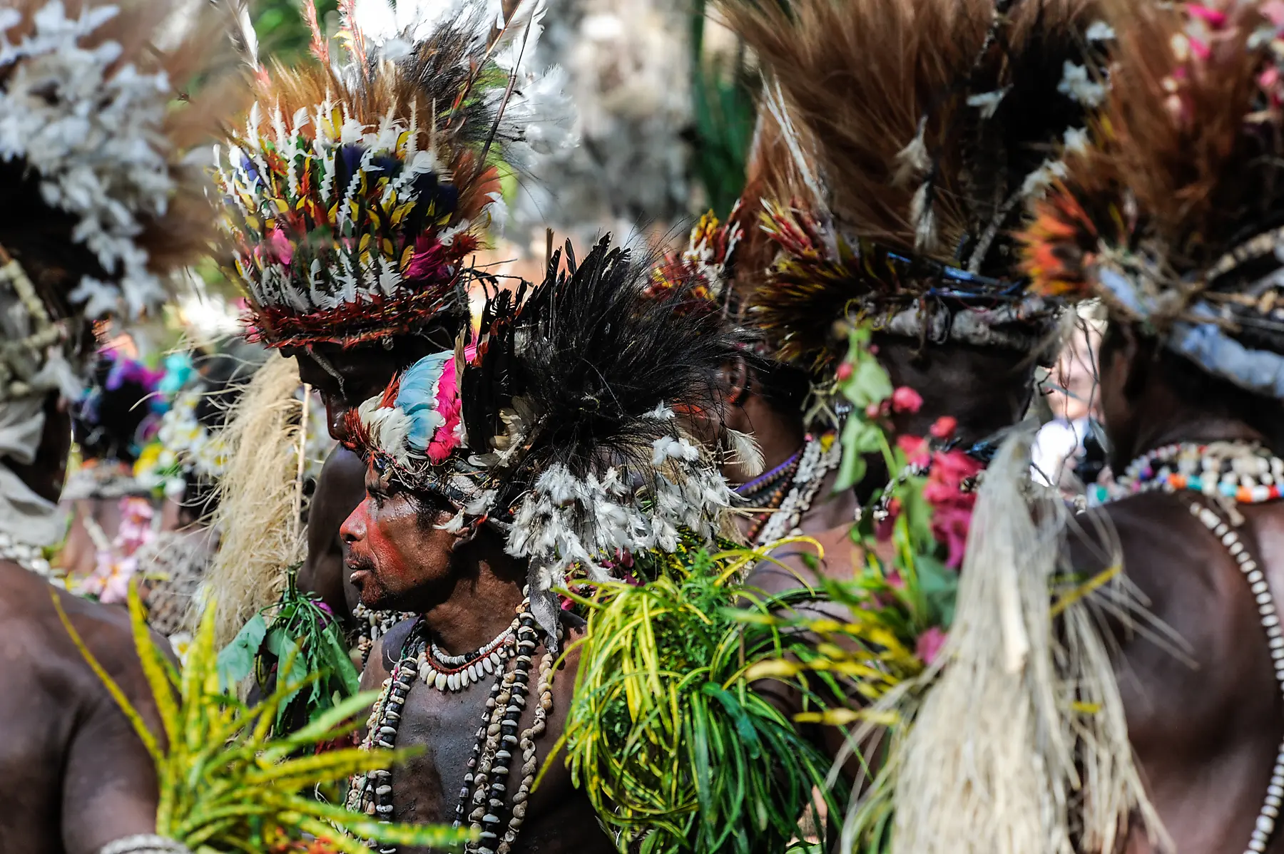 Little-known treasures of Melanesia 