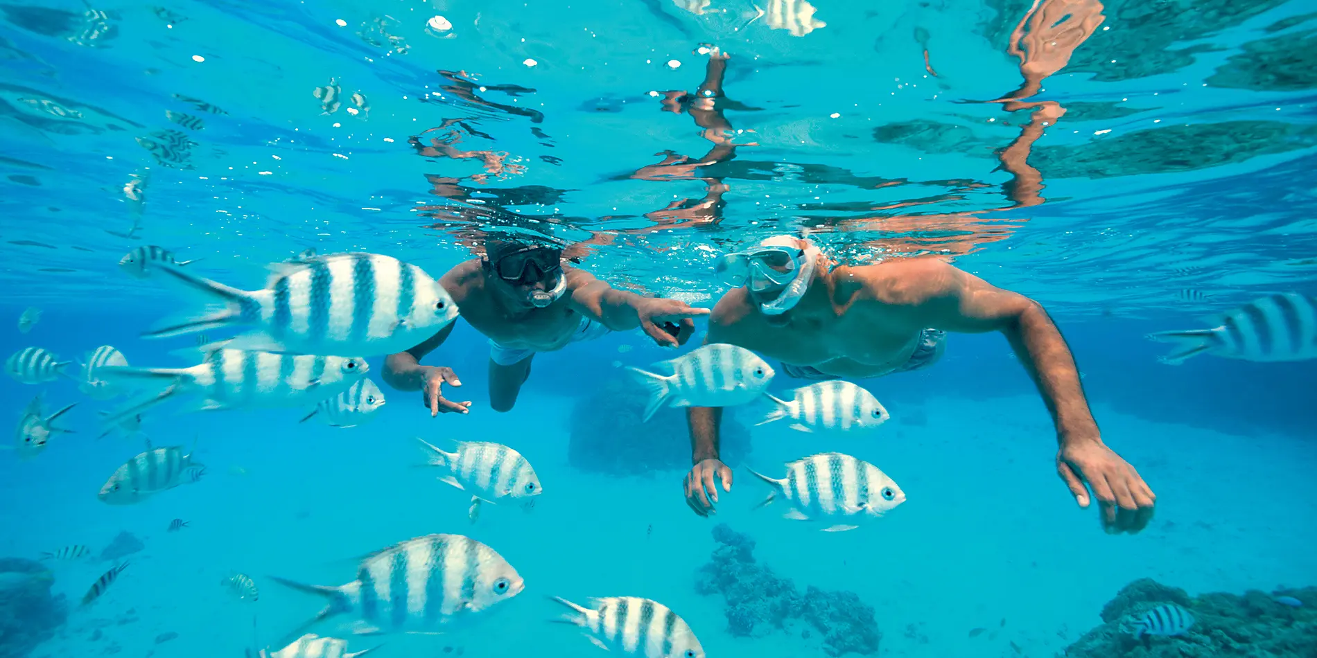 Tahiti and the Society Islands 