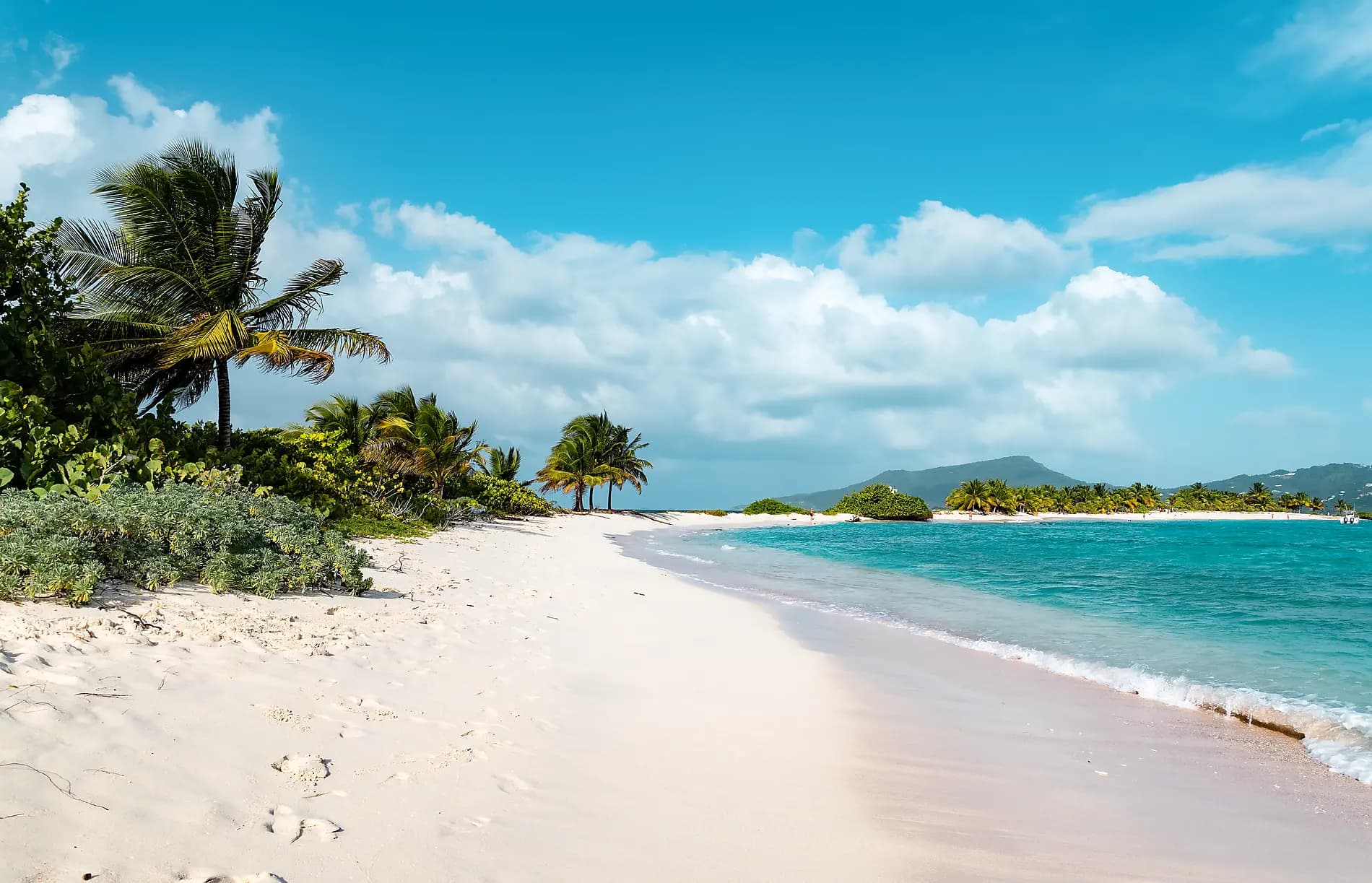Reverie under sail in the heart of the Lesser Antilles 