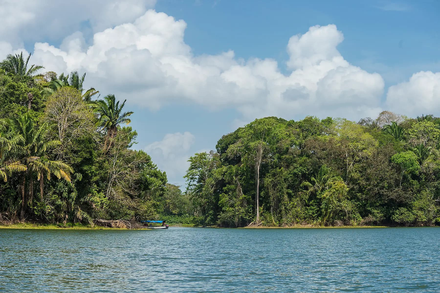 Panama and Costa Rica by Sea: The Natural Wonders of Central America – with Smithsonian Journeys 