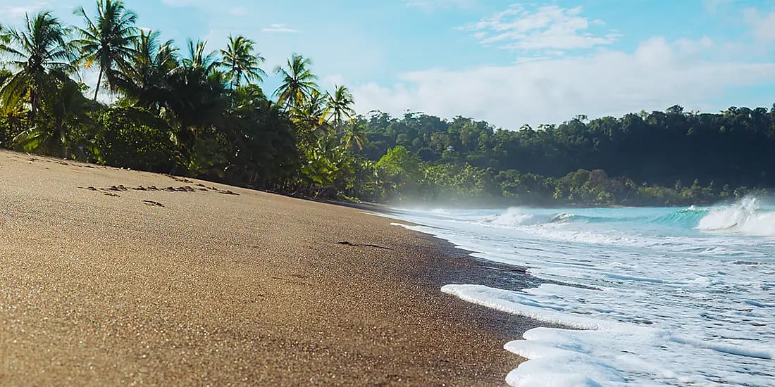 Costa Rica by Sea: Wildlife and Rainforests of the Pacific Coast – with Smithsonian Journeys