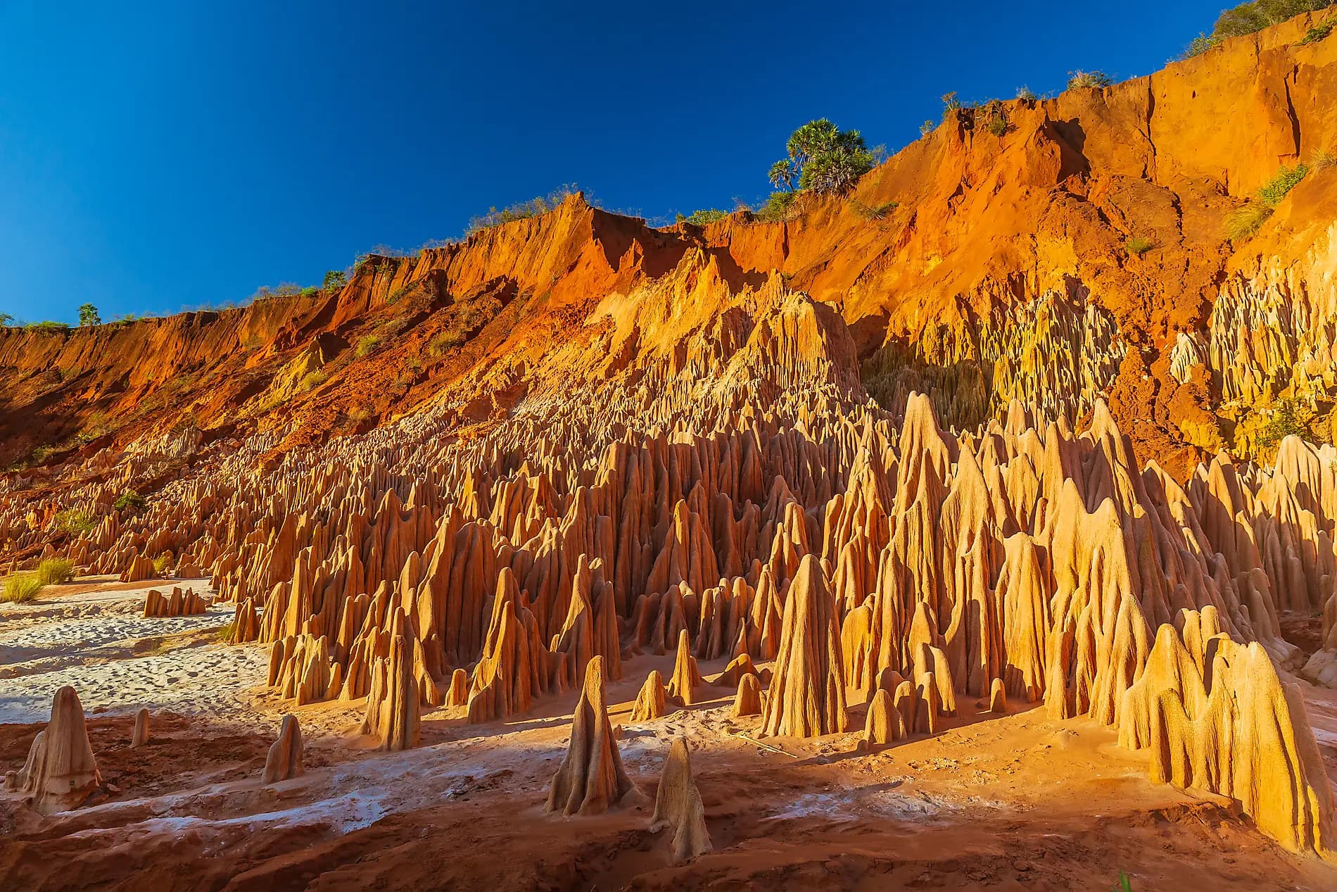 Madagascar and Seychelles: Natural Treasures of the Indian Ocean – with Smithsonian Journeys 