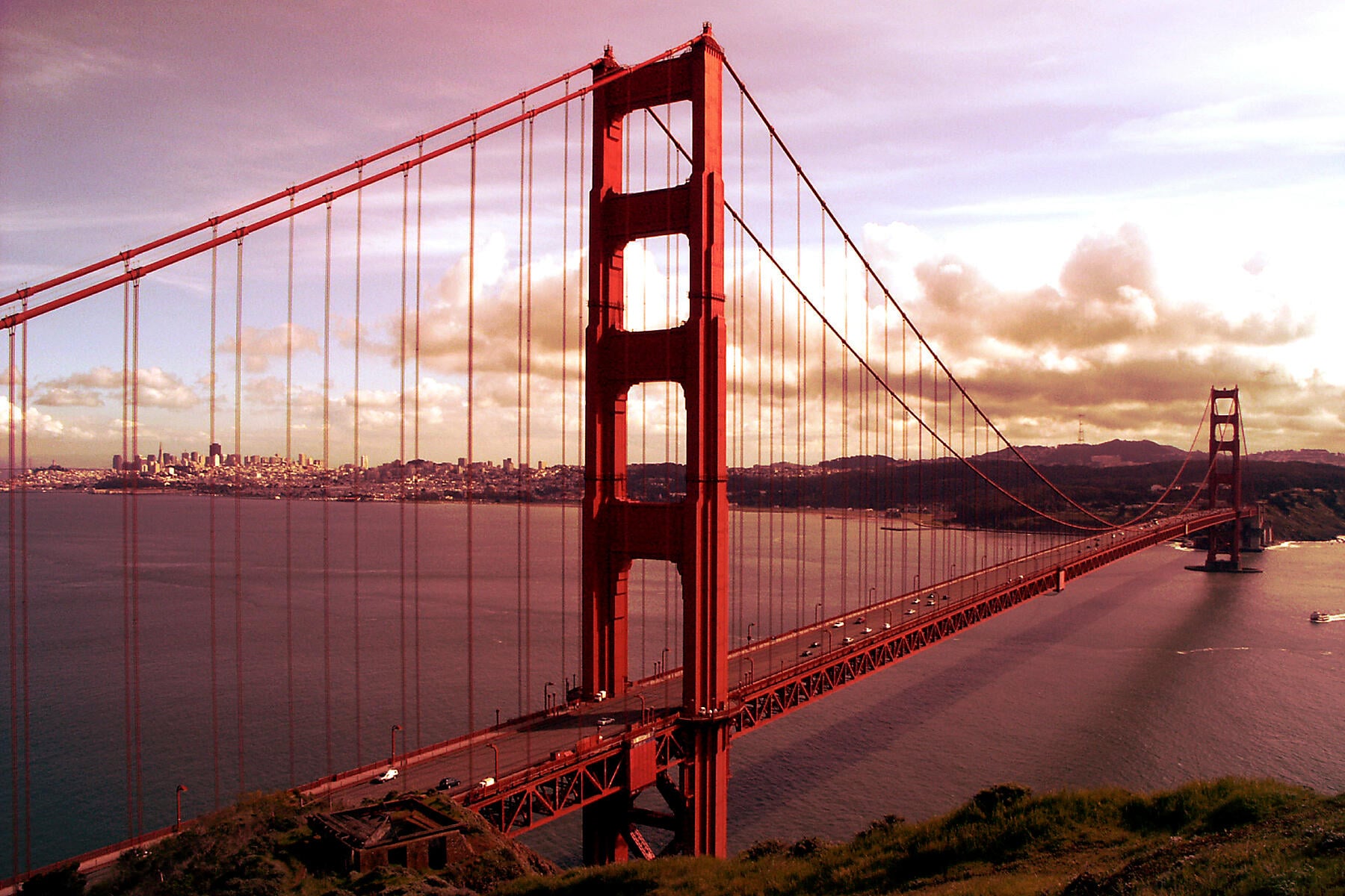 iStock_000000221016Medium.JPEG