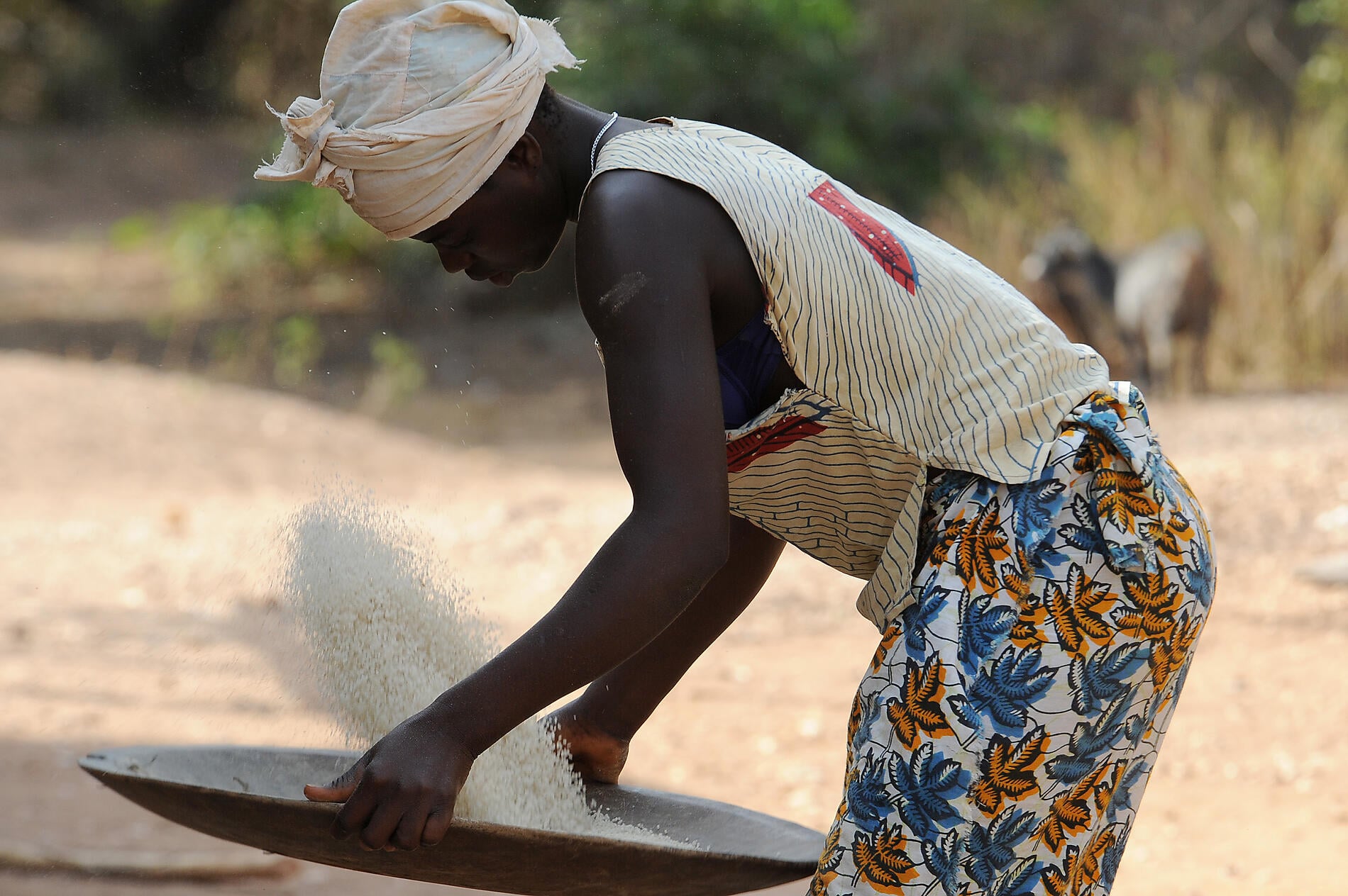 No-1220_A190313_Ile Carache_Village-D-ampincha©StudioPONANT-Nathalie-Michel.JPG