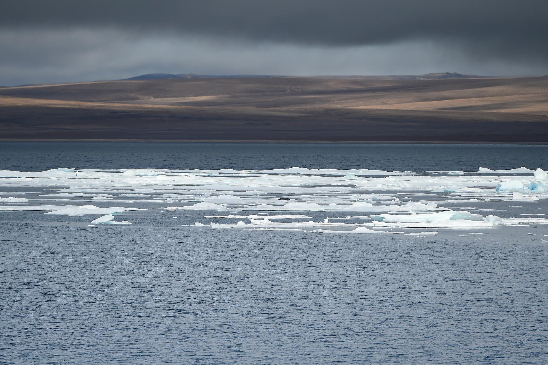 No-2800_A160816_JESSE-HARBOUR©StudioPONANT-Nathalie Michel.JPG