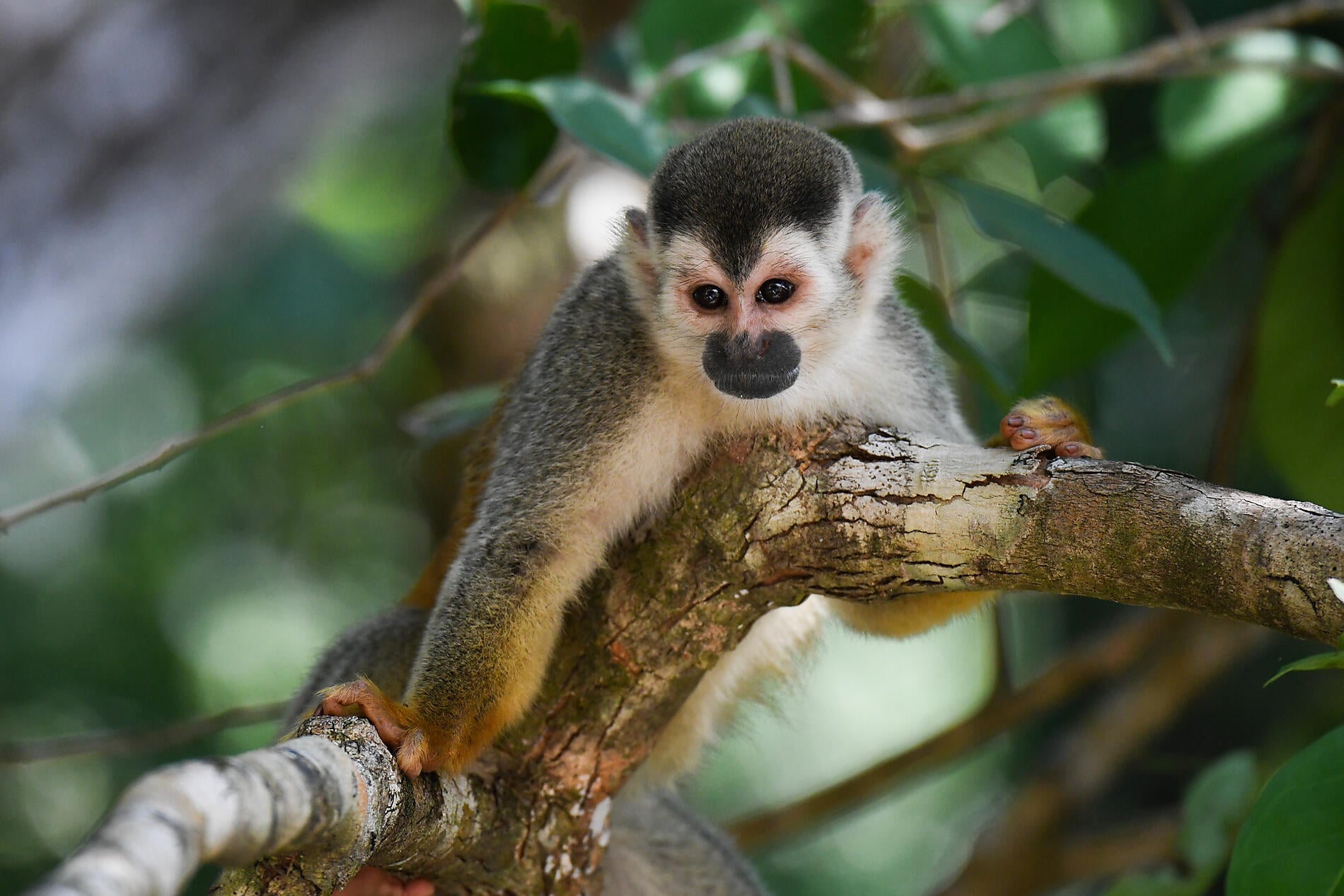N-2190_C200119_Puerto-Caldera_Colon©StudioPONANT-Margot Sib.jpg