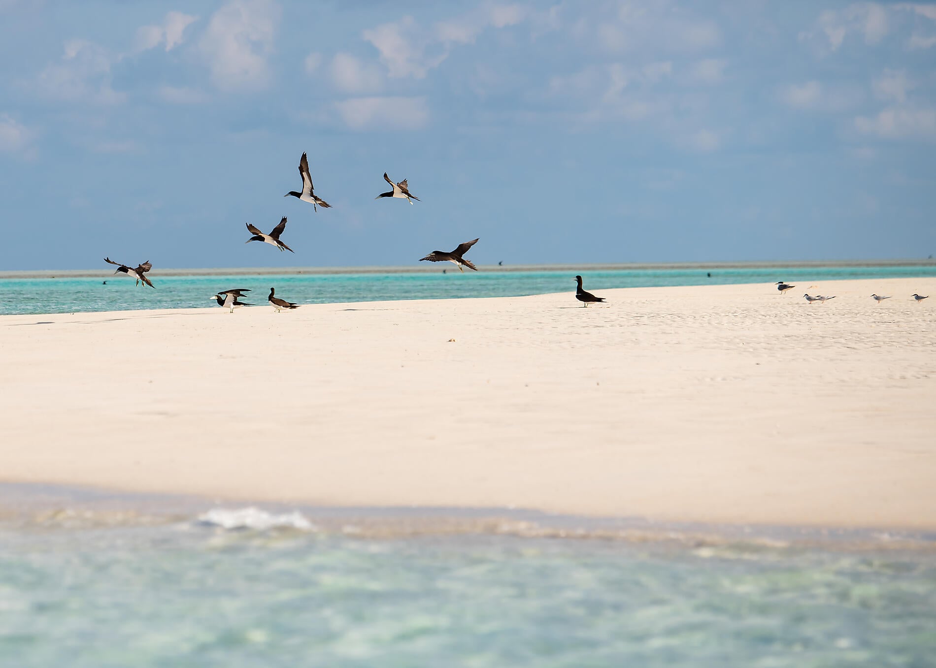 Australia's Iconic Kimberley Australia's Iconic Kimberley