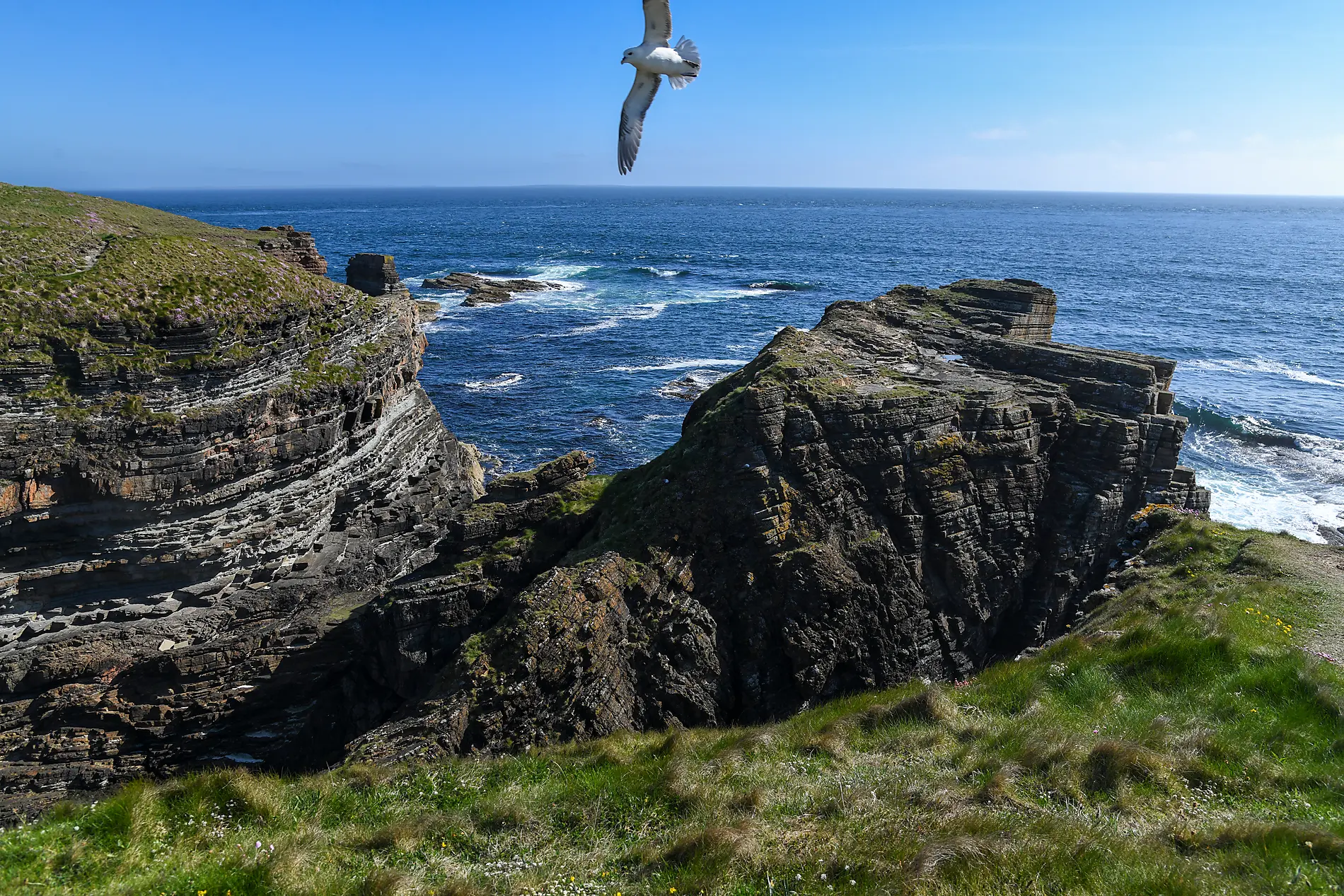Wild Scotland and mythical islands Wild Scotland and mythical islands