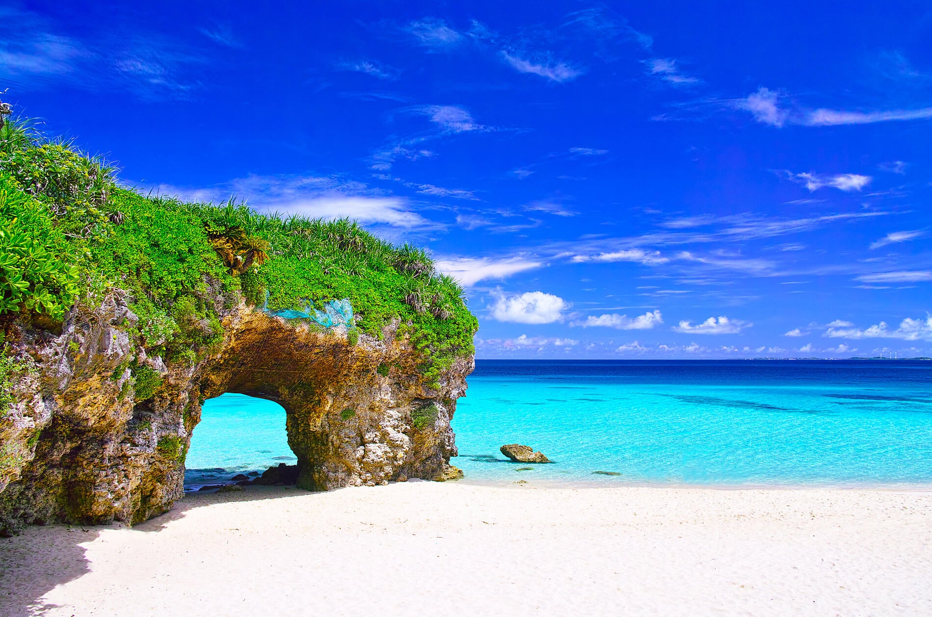 Odyssey in the heart of Japan’s subtropical islands Odyssey in the heart of Japan’s subtropical islands