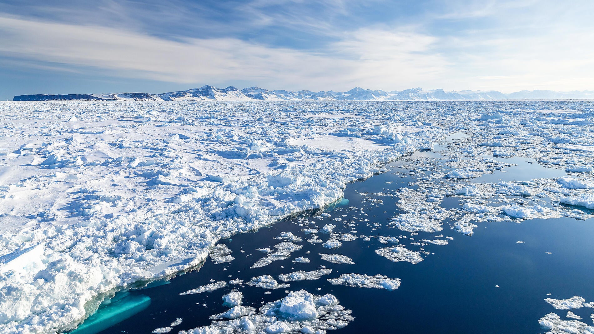 At the edge of the High Arctic At the edge of the High Arctic