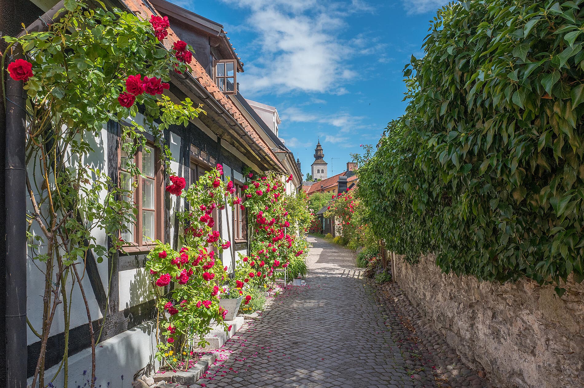 Cruising the Historic Cities of the Baltic Sea – with Smithsonian Journeys