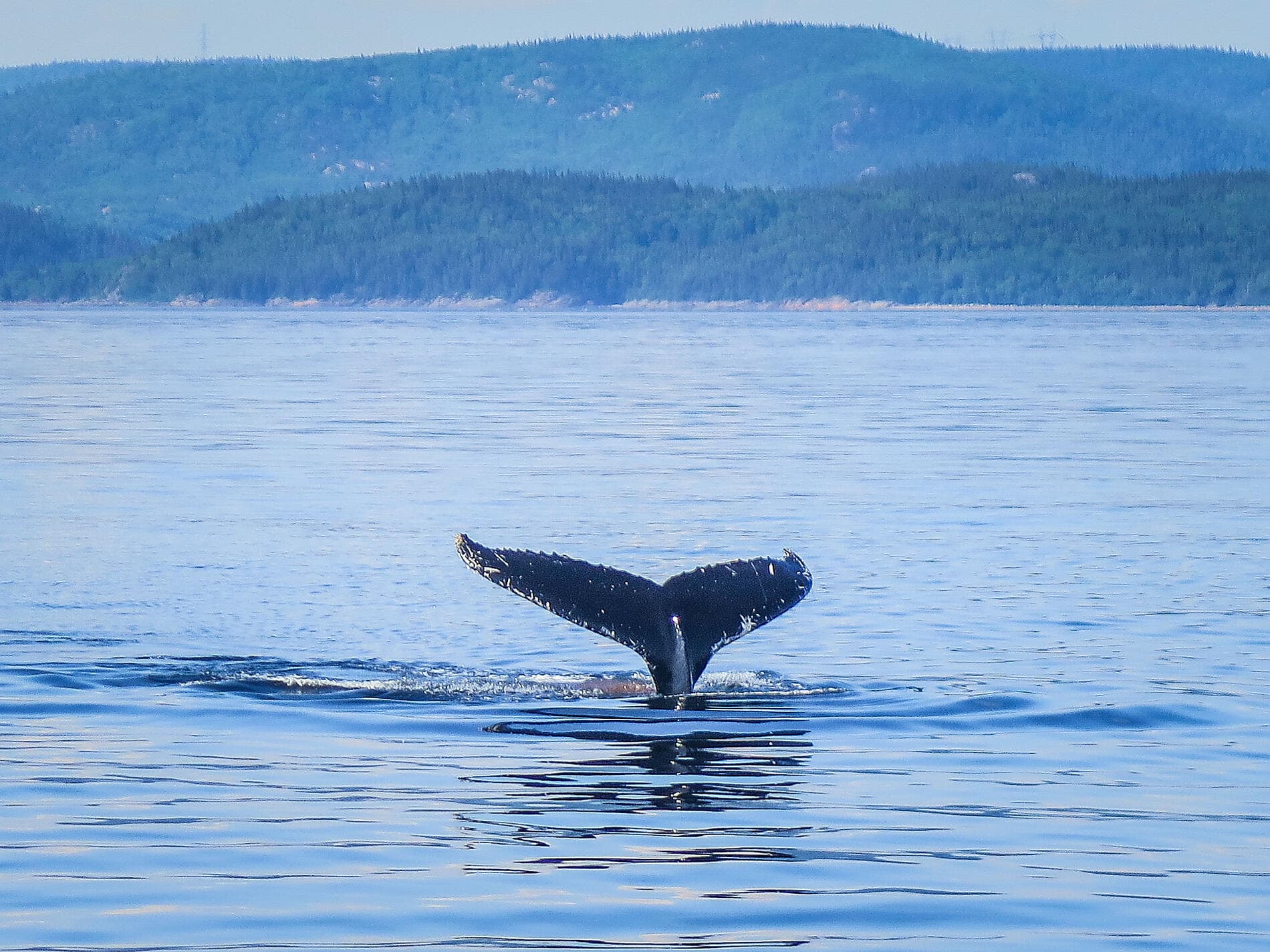 Exploration along Saint Lawrence