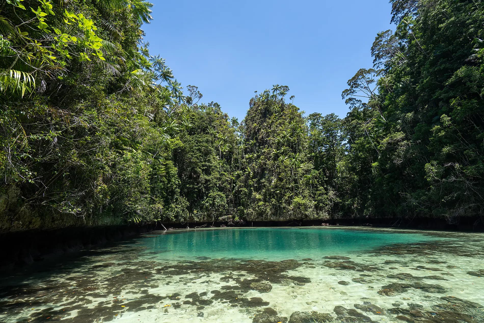 Exploring the Malay Archipelago