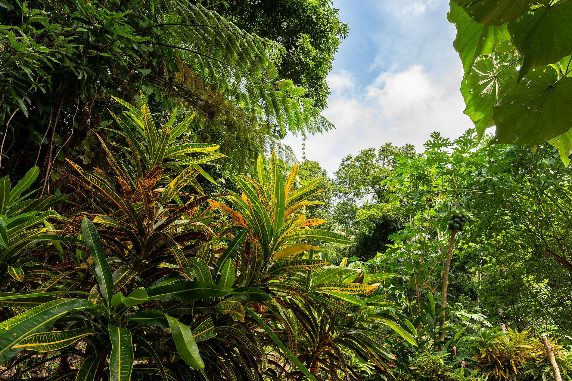 Secret Islands of Melanesia
