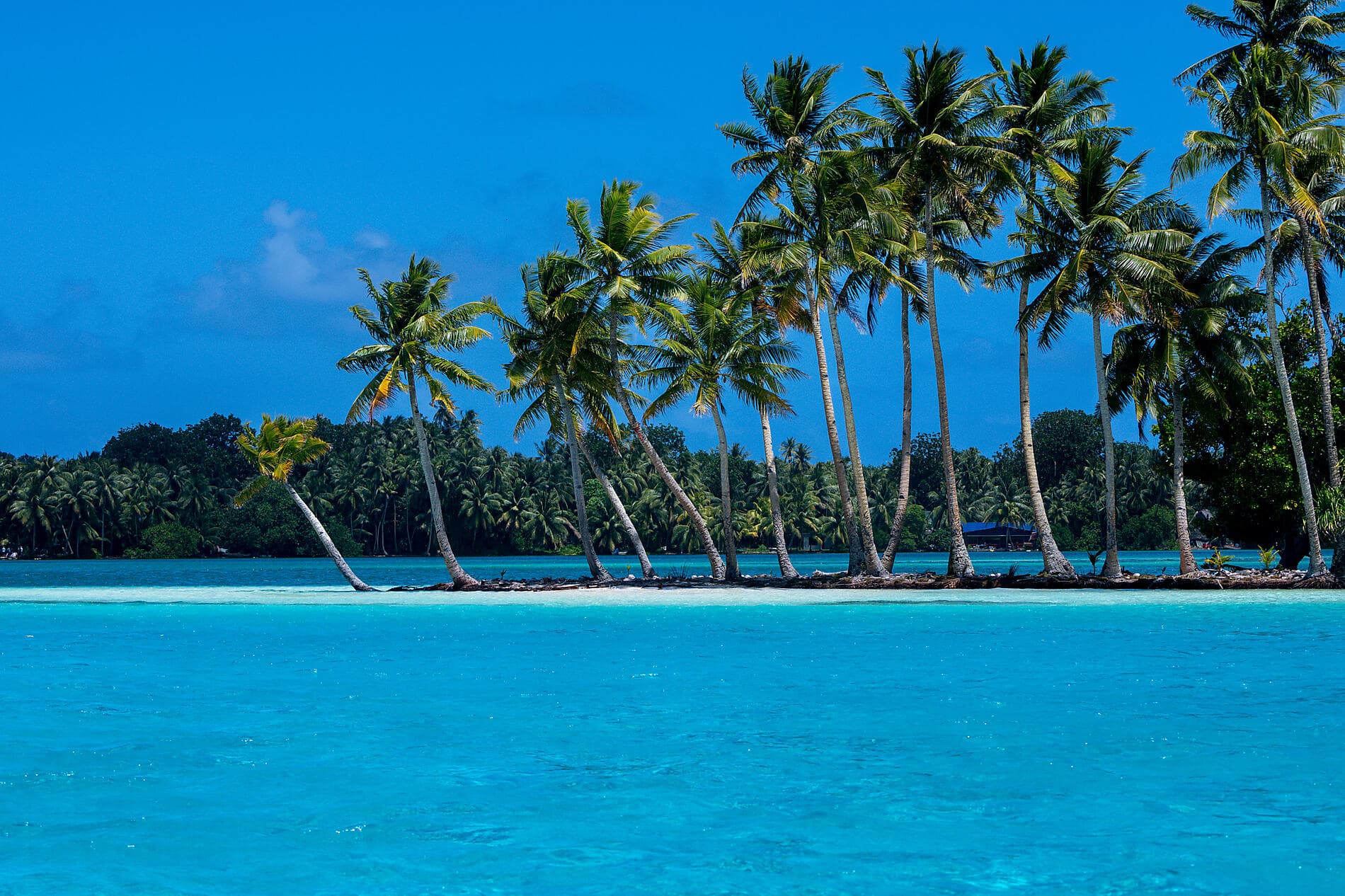 Secrets of the Pacific from the Solomon Islands to Palau