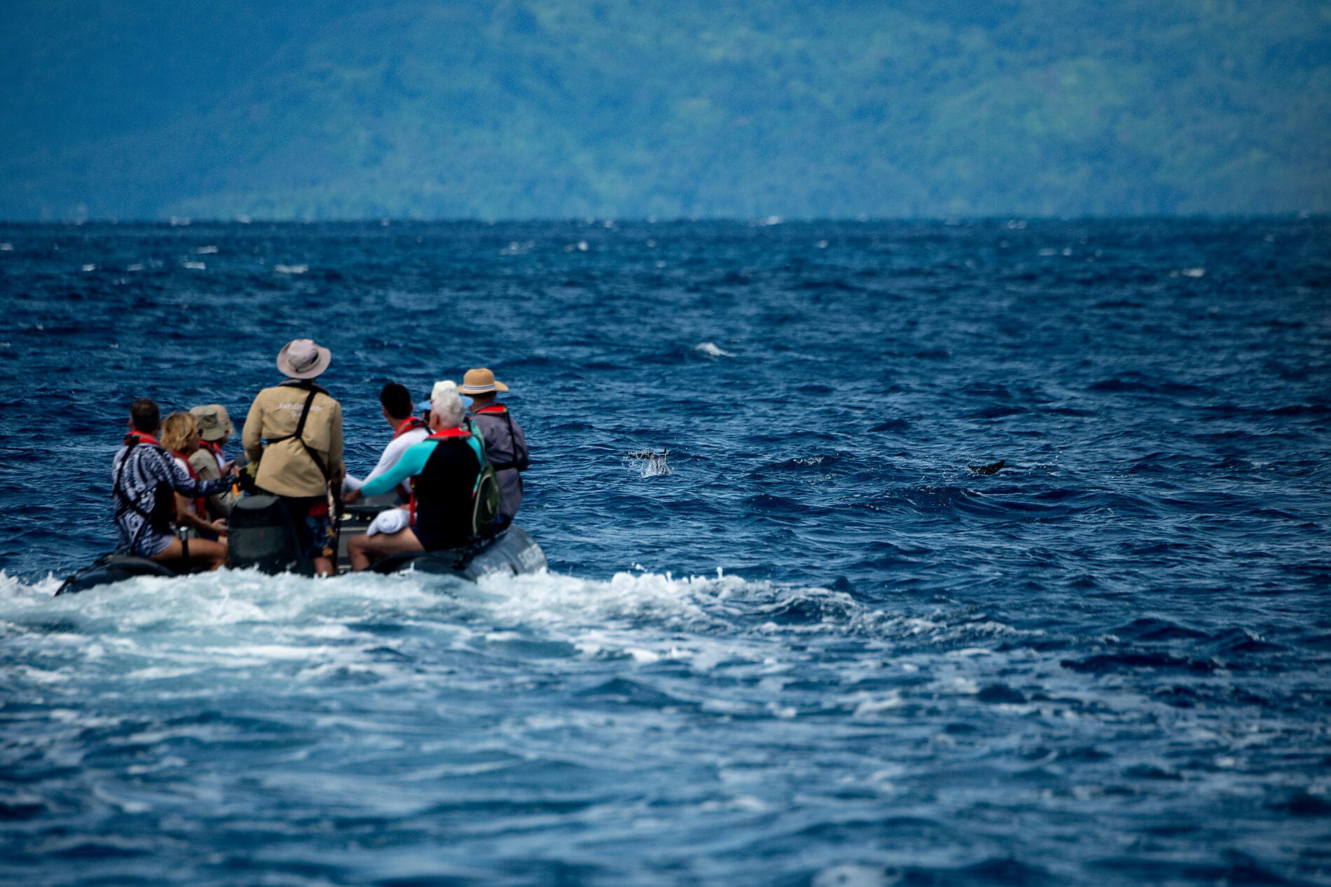 Secrets of the Pacific from the Solomon Islands to Palau