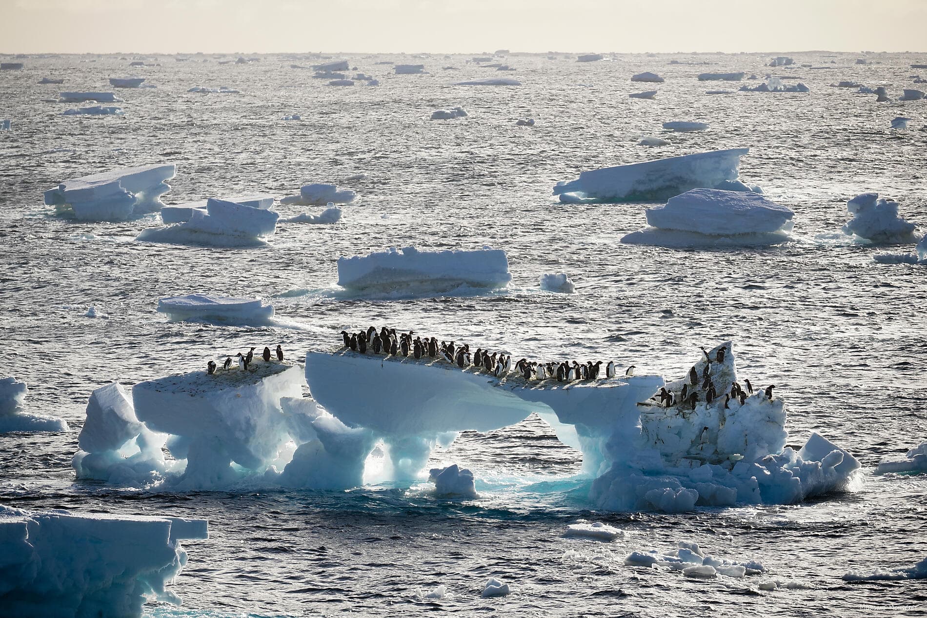 Unexplored Western Antarctica between Two Continents
