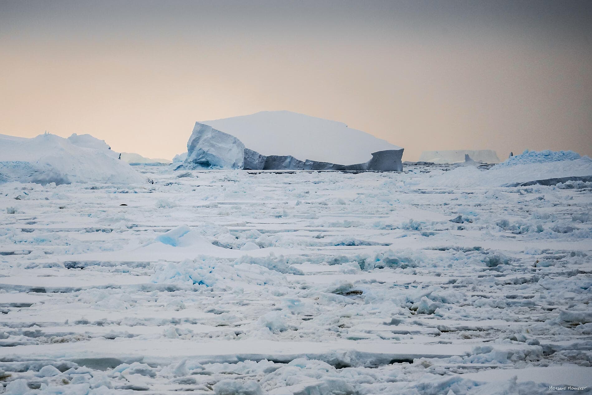 Unexplored Western Antarctica between Two Continents