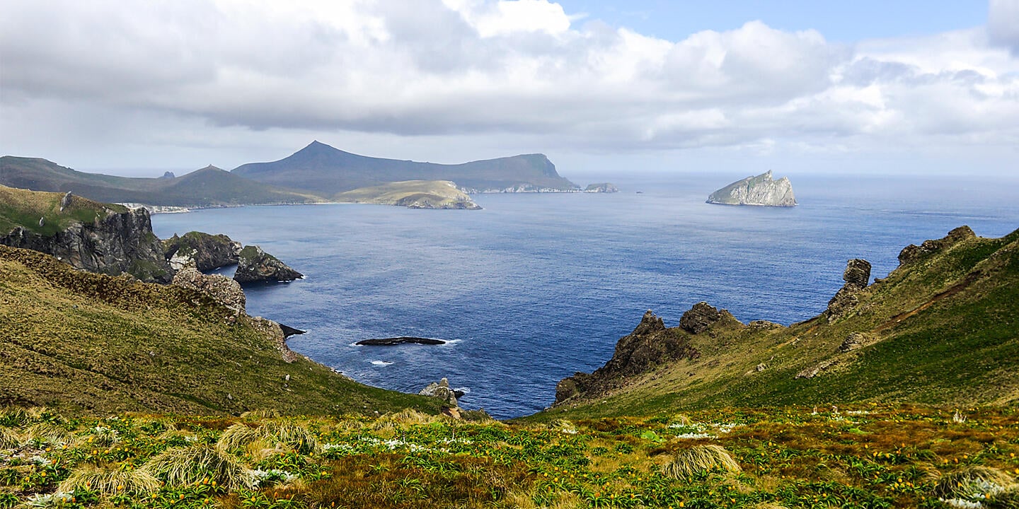 Expedition to New Zealand’s Subantarctic Islands Expedition to New Zealand’s Subantarctic Islands