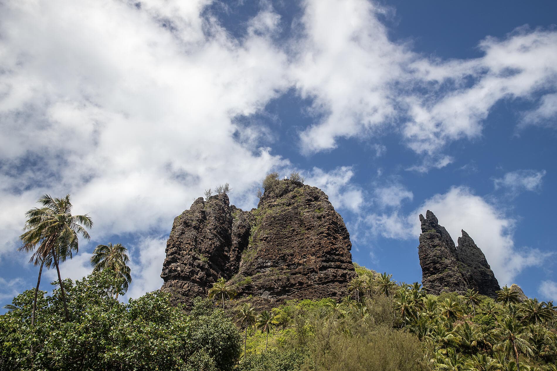 Secret Polynesia: Unexplored Tuamotu, the Marquesas Islands and the Society Islands