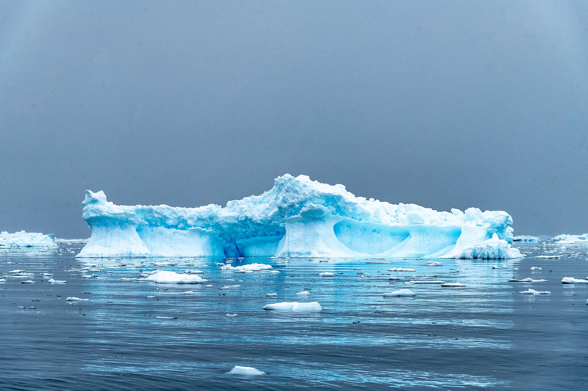 Antarctica: The White Continent – with Smithsonian Journeys
