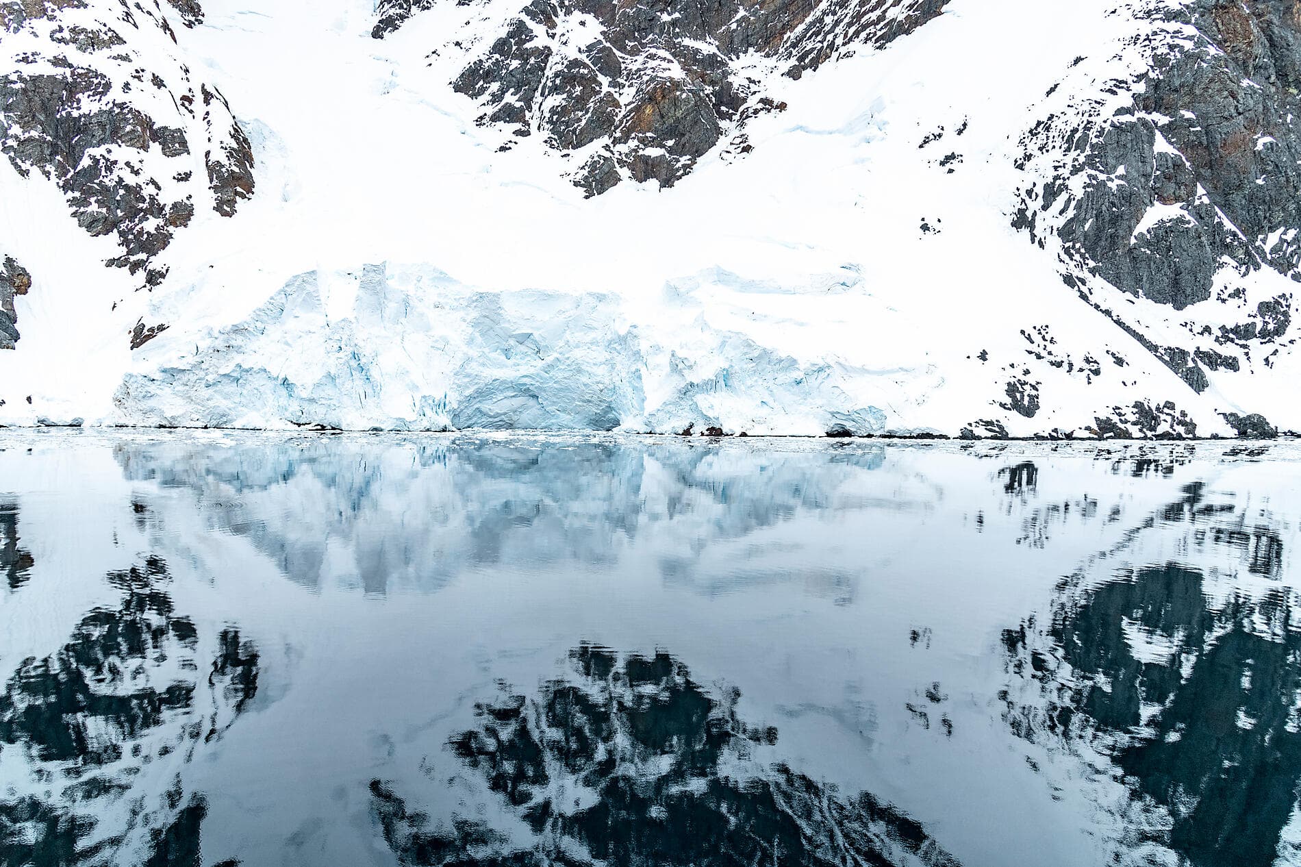 Antarctica: The White Continent – with Smithsonian Journeys