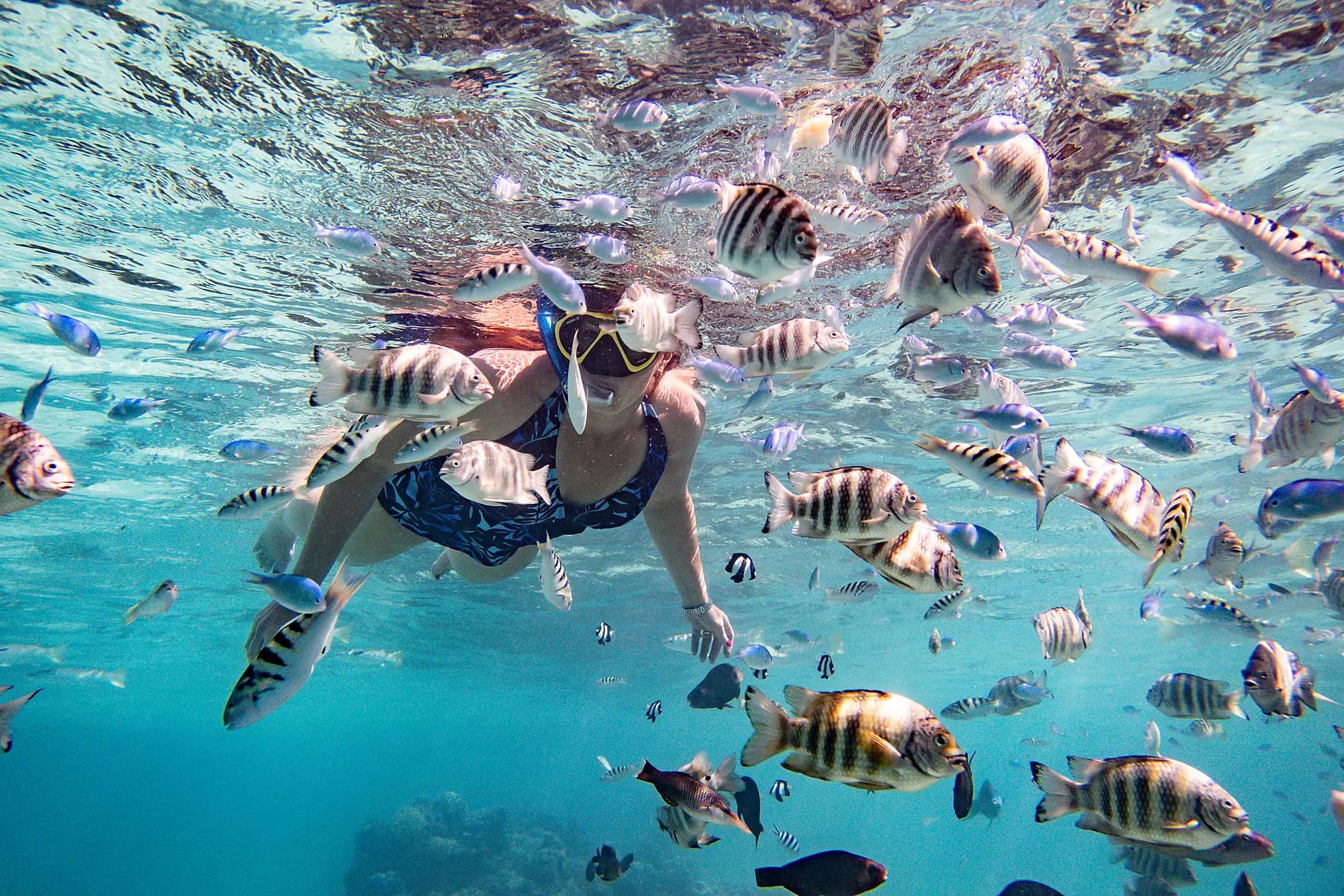 Tahiti and the Society Islands