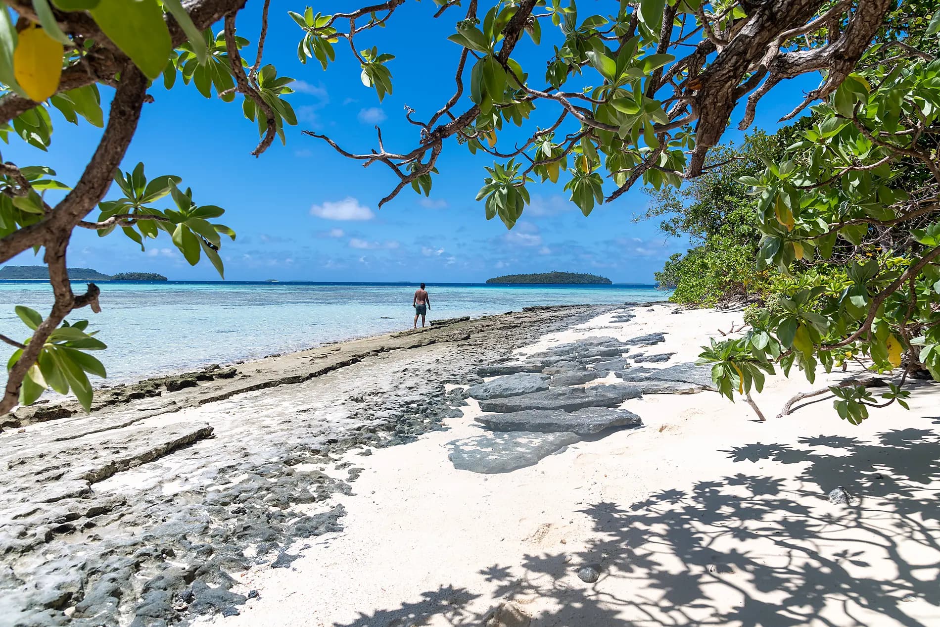 Fiji, Tonga, Cook Islands and Society Islands