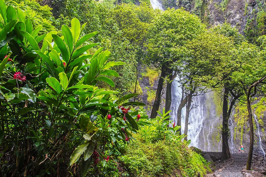 Discover Papeete, from landing to embarkation