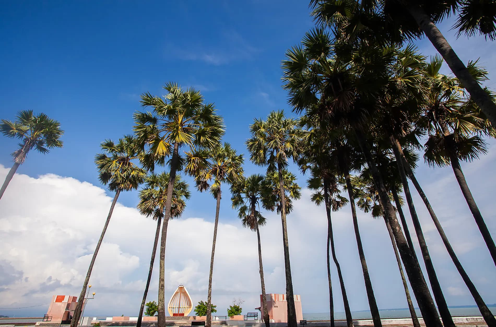 Hidden treasures of the Indonesian archipelago