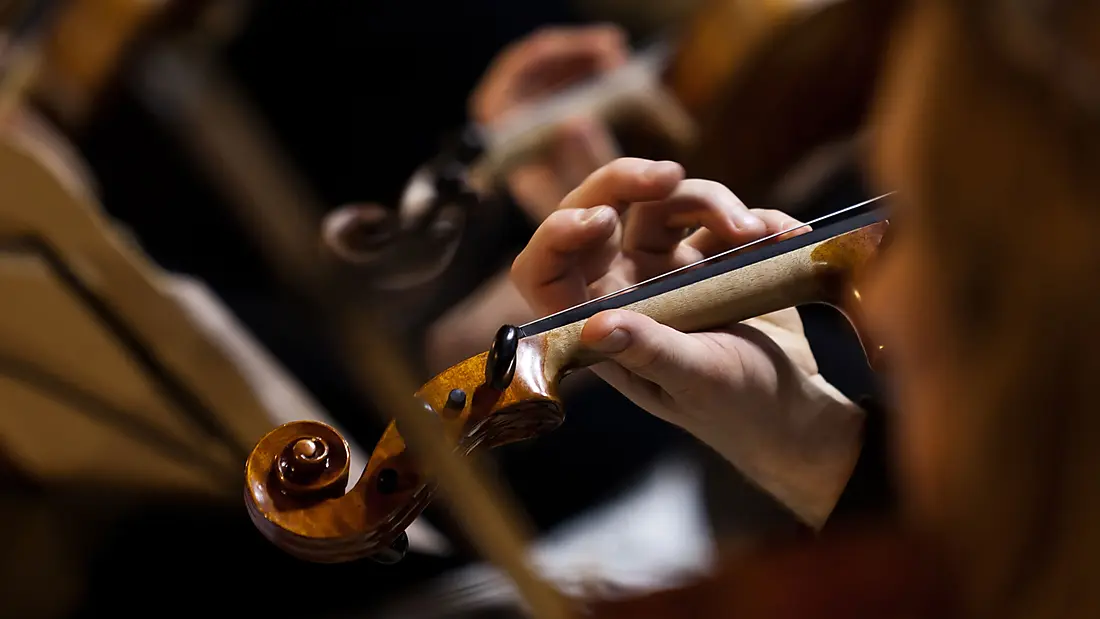 A celebration of the violin at sea