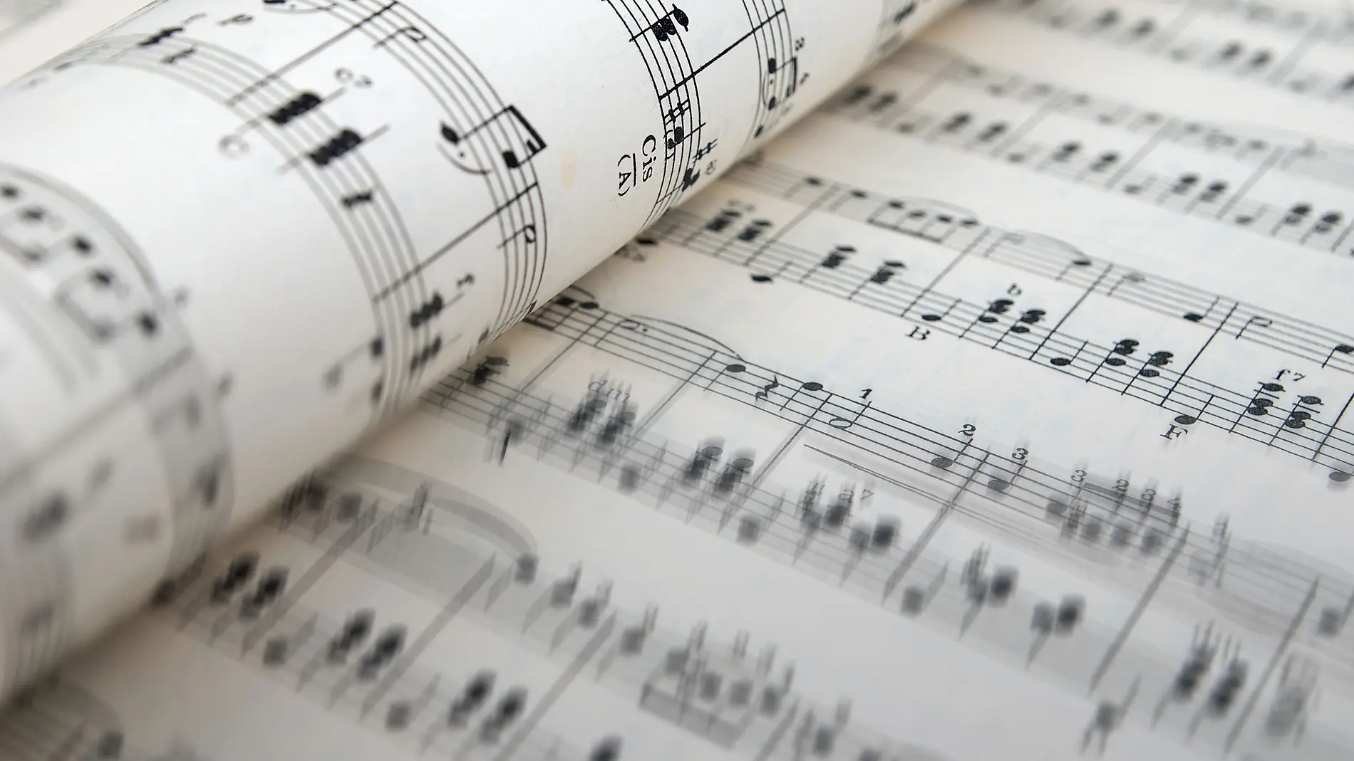 There is a little bit of Franz Schubert in all of us There is a little bit of Franz Schubert in all of us