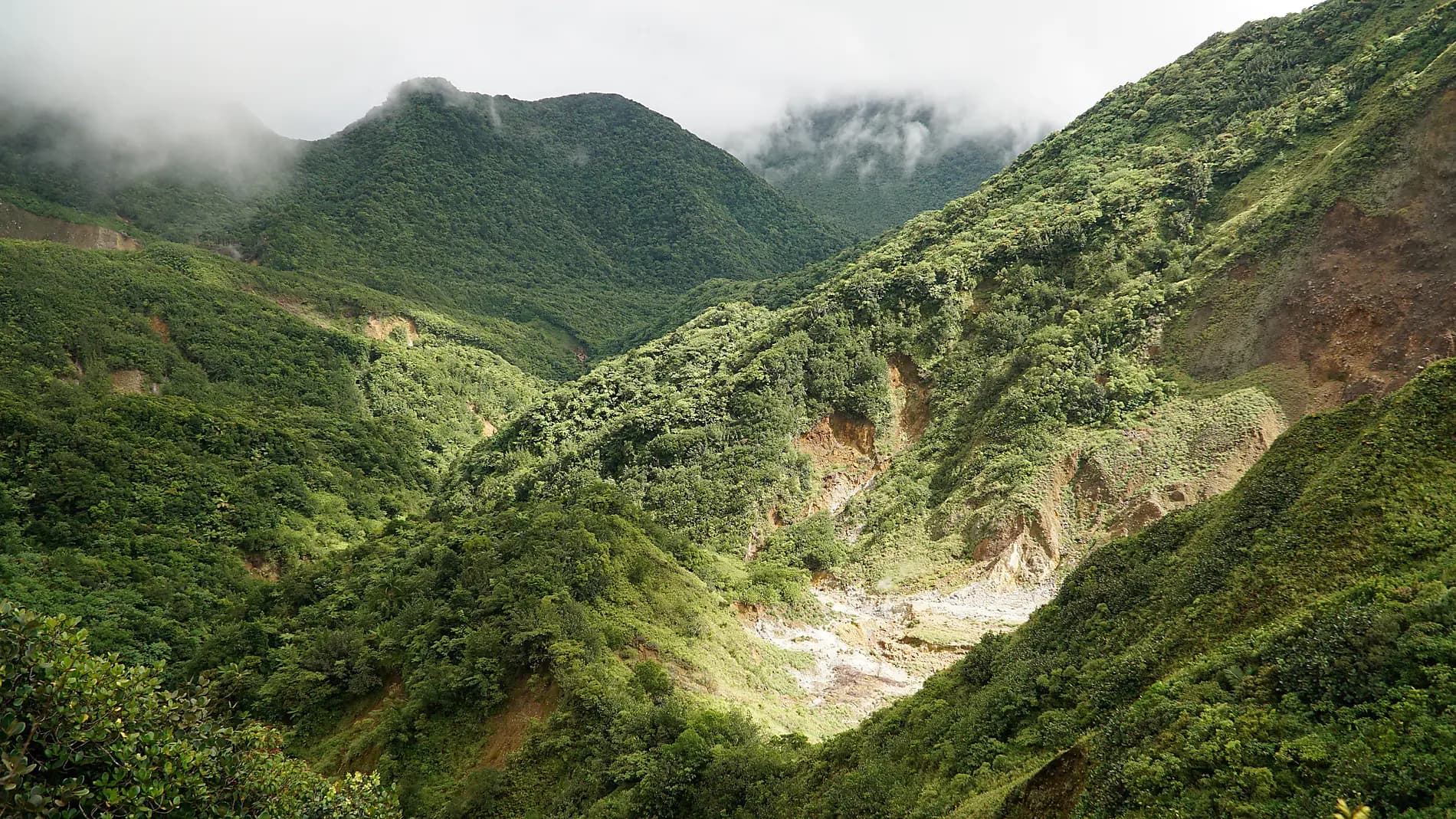 Secret treasures of the Lesser Antilles