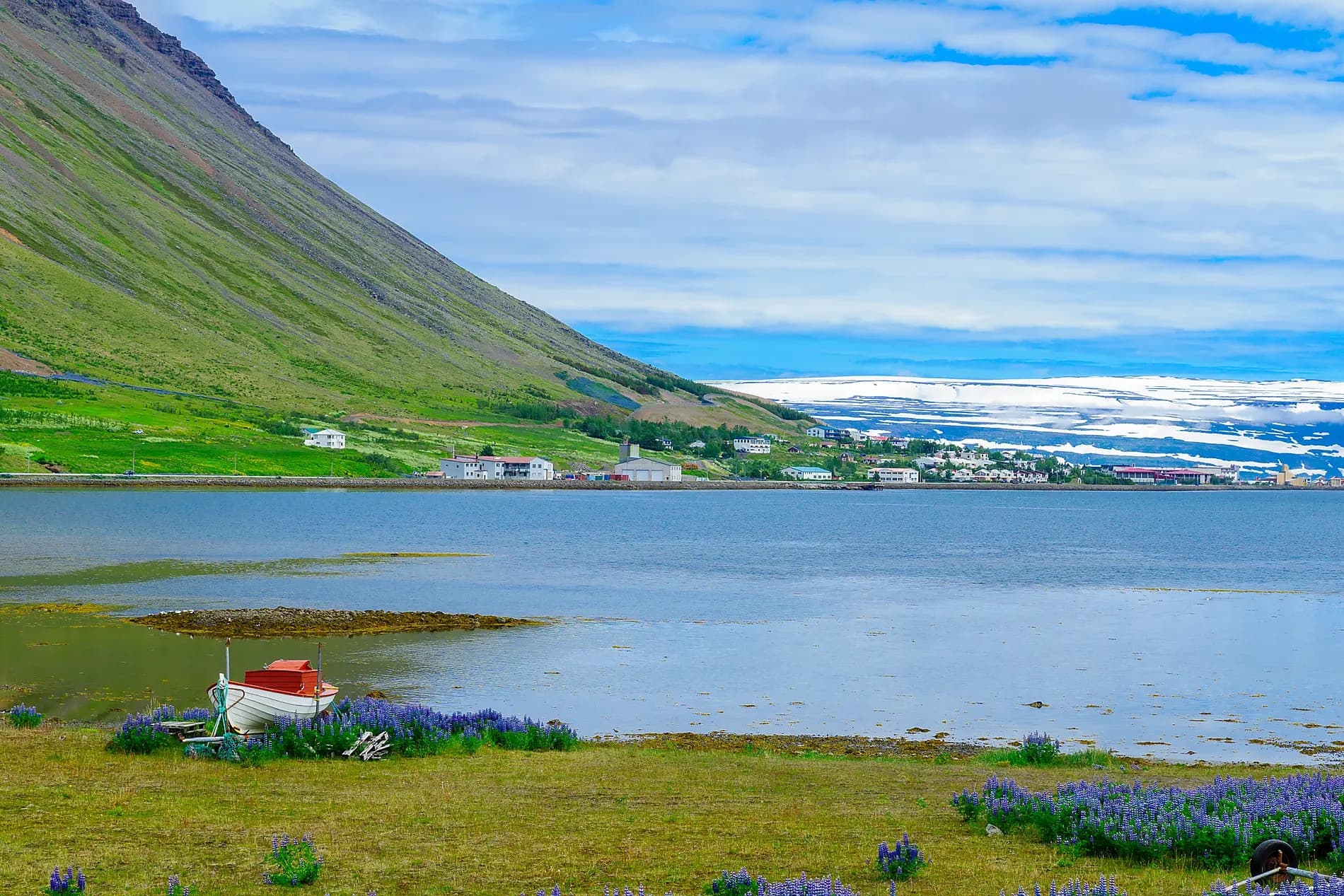 Icelandic mosaic