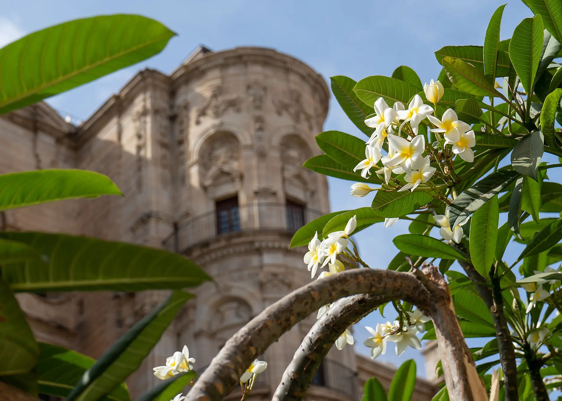 Canary Islands, Morocco and the Iberian Peninsula